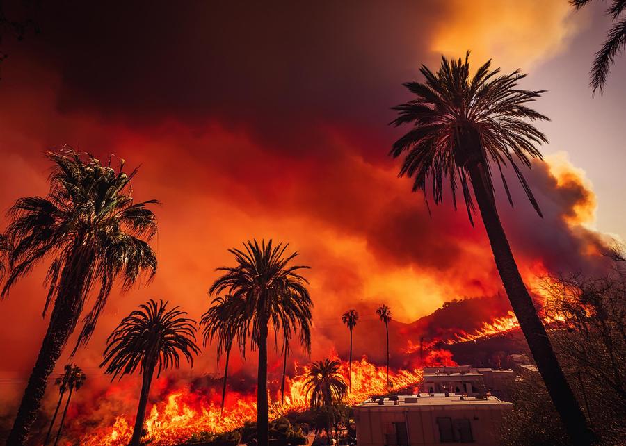 Preview of the public wildfire activity map