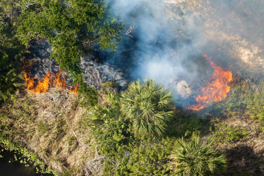 Aerial view of a managed vegetation fire