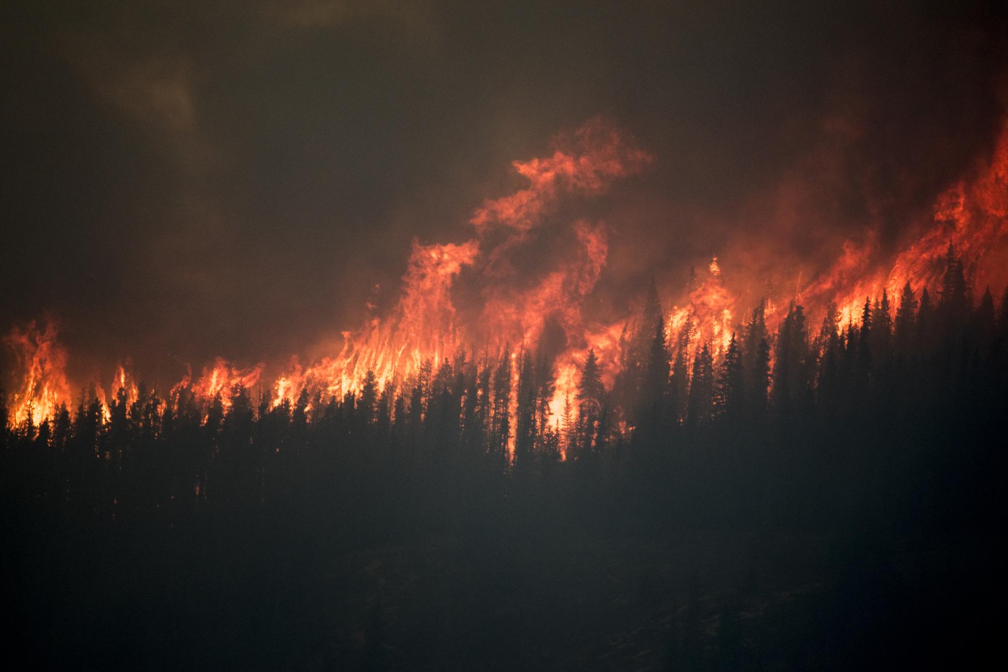 Wildfire advancing across a forested ridge at dusk