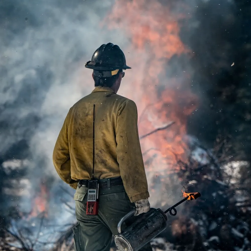 fuels thinning, fuel reduction, wildfire fuel reduction, wildfire fuel mitigation, wildfire pros, professional forest management, does forest thinning prevent wildfires?